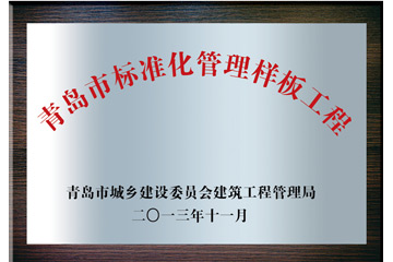 青島市標準化管理樣板工程